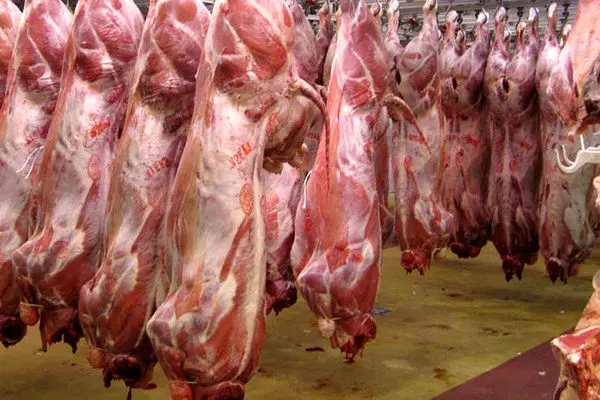 آذربایجان غربی رتبه چهارم تولید گوشت قرمز در کشور را دارد