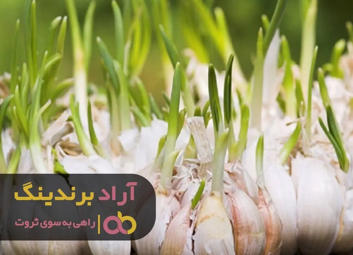 
ما هر روز بیشتر و بیشتر خوشبخت می شویم