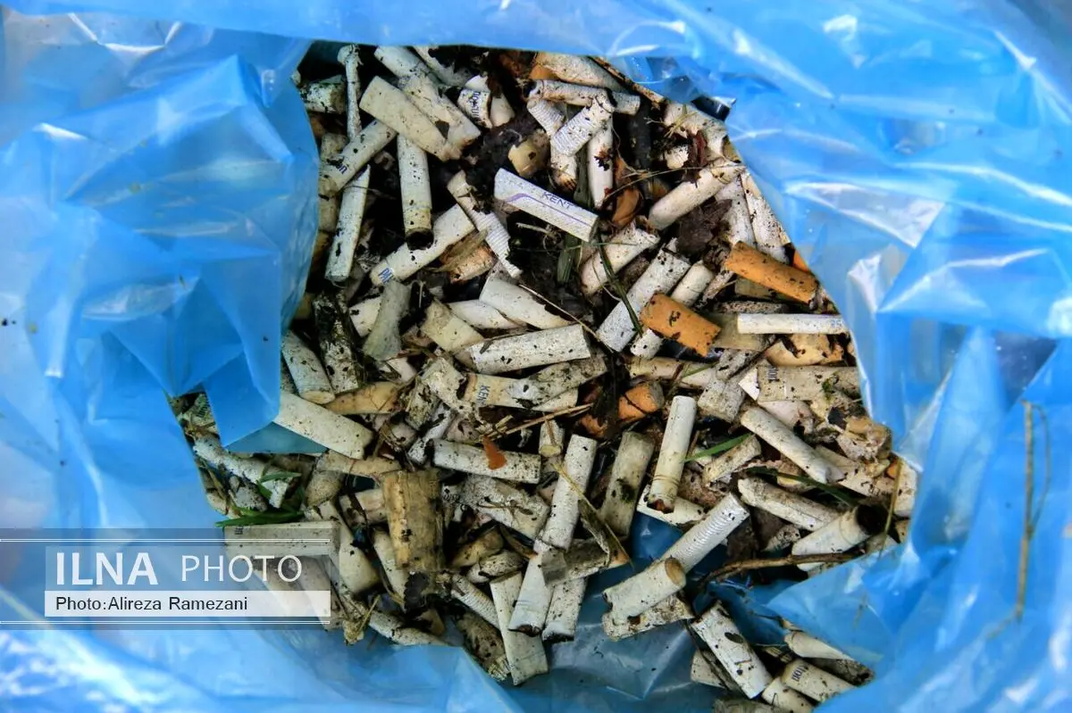 برنامه مشارکتی جمع‌آوری ته سیگار از سطح پارک ملت رشت برگزار شد