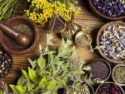 معرفی داروهای گیاهی برای بهبود بیماری‌های دهان