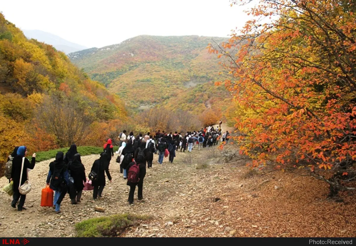تعریف بسته‌های ارزان قیمت برای سفر به شمال/تعطیلات زمستانی راهکاری برای بهبود آلودگی هوا است