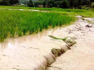 خسارت ۱۱ همتی به بخش کشاورزی در پی هشدار قرمز هواشناسی

