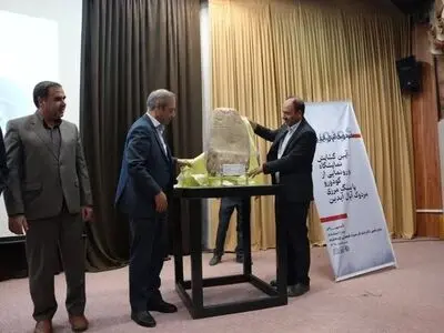 رونمایی از سنگ باستانی «کودورو» در کرمانشاه