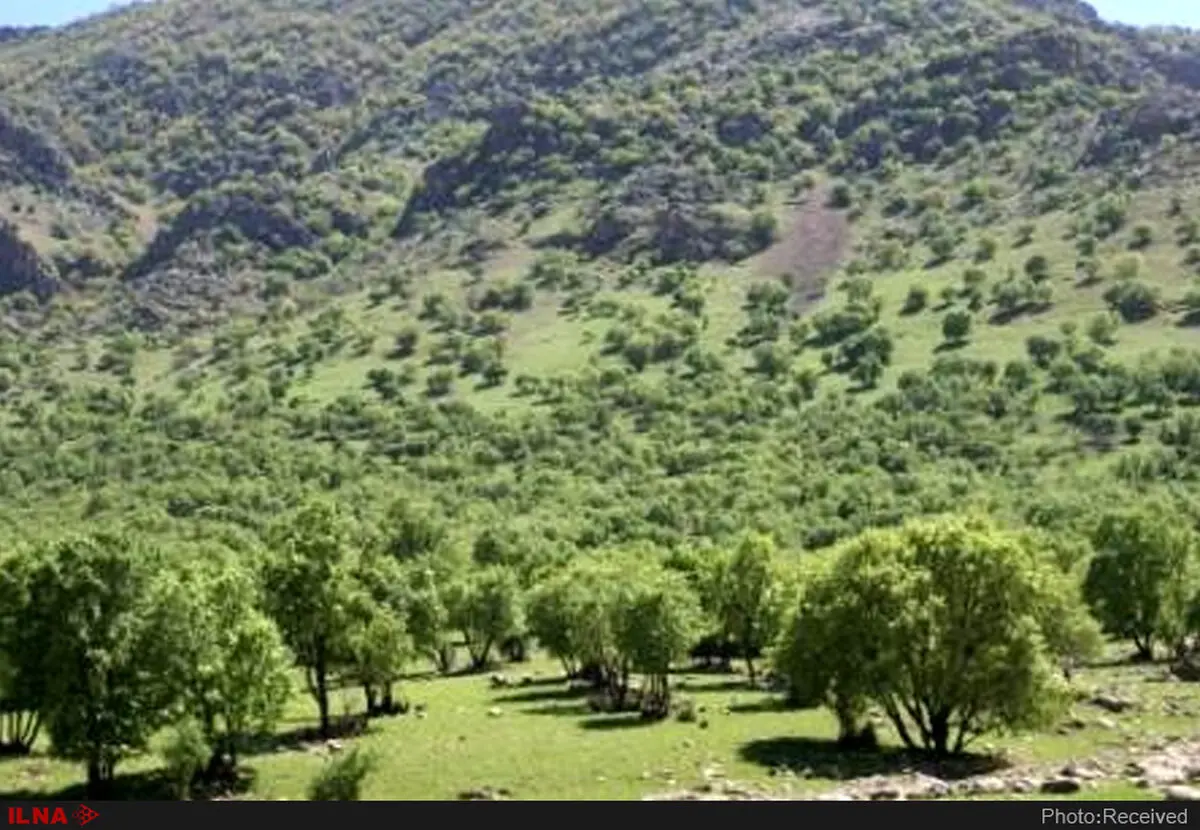 فقر و بیکاری در لابلای برگ های سبز مازندران/ استاندار جدید تحول ایجاد کند