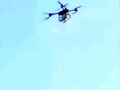 asdasd