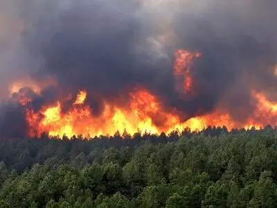 مهار 9 فقره آتش‌سوزی‌ در اراضی و عرصه‌های ملی شهرستان اراک 