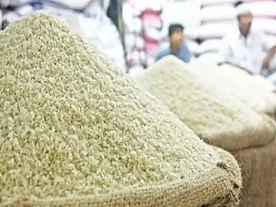 مسئولان وعده می‌دهند؛ قیمت برنج اما هر روز بالاتر می رود / گرانفروش واقعی کیست؟