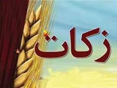 آملی‌ها 27 میلیارد ریال زکات پرداخت کردند