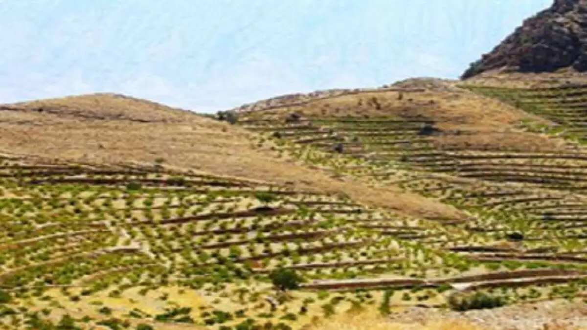 بیش از 2 میلیون هکتار از اراضی ملی استان در حوزه منابع طبیعی وارد سامانه کاداستر شد