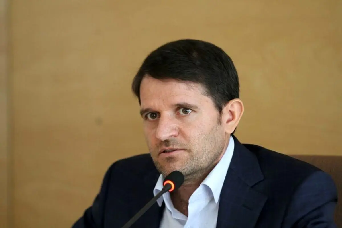 کمبود خوراک ۲۲ درصد ظرفیت پتروشیمی را خالی نگه داشت