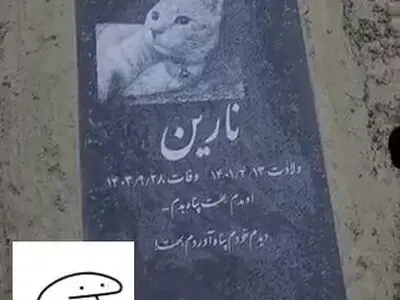 کلیپی از قبرستان حیوانات در ایران که پربازدید شده است
