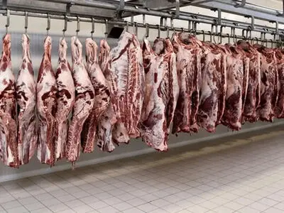 کاهش ۱۱ درصدی عرضه گوشت قرمز در مرداد ۱۴۰۵