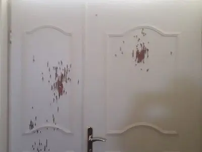 به منزل مسکونی دو مأمور جنگلبانی آمل تیراندازی شد