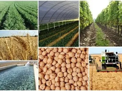 بازتشکیل ستاد ساماندهی و پشتیبانی به حل مشکلات کشاورزان کمک می‌کند 