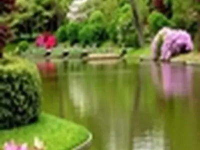 مدیریت ۱۵۰ هکتاری پارک جنگلی عالی قاپوی شهر قیدار