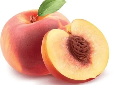 این خوراکی های آبرسان را هر روز تابستان بخورید