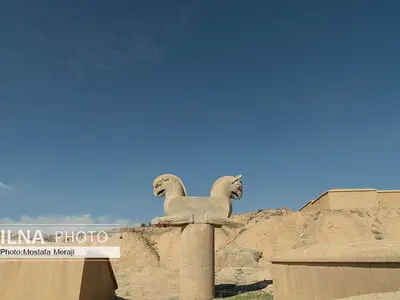 تصویر اولین لحظه کشف تندیس هما در تخت جمشید