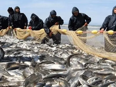 درآمد هزار میلیارد تومانی صیادان گیلانی