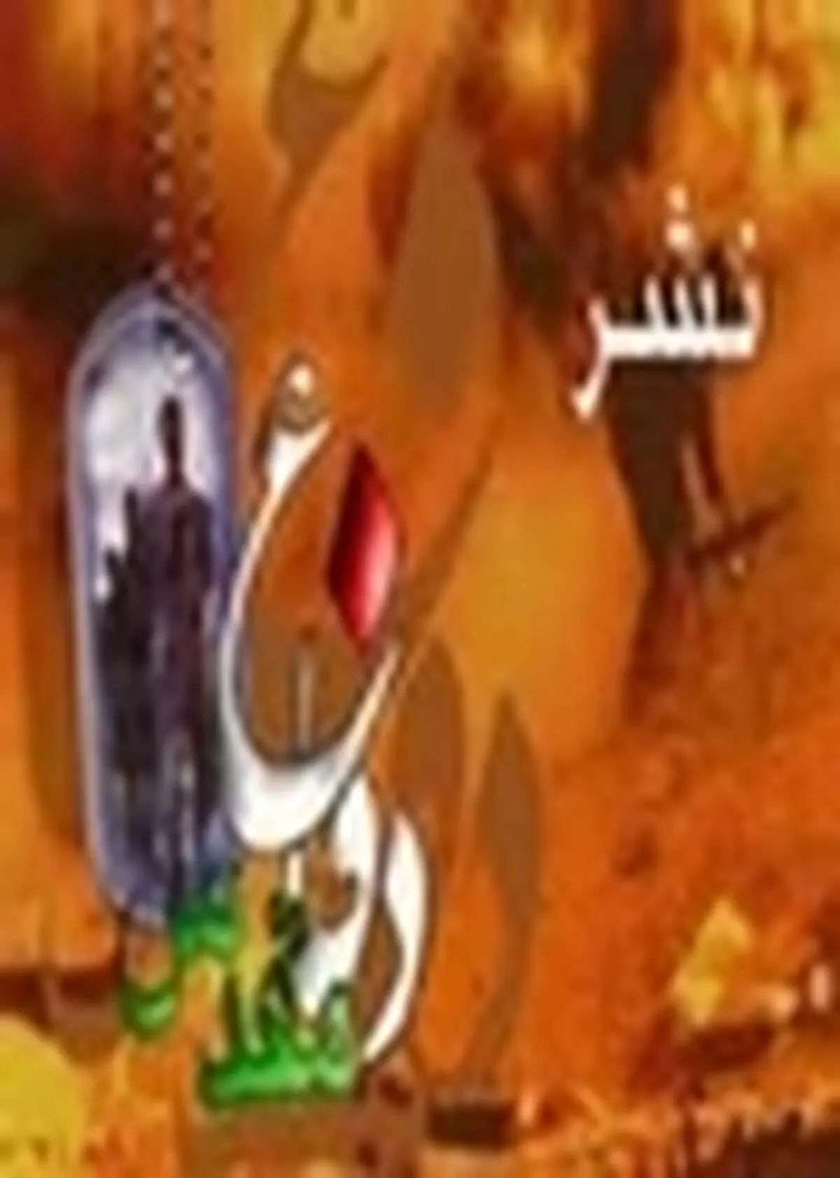 یادواره سردار شهید میررضی در کرج برگزار شد