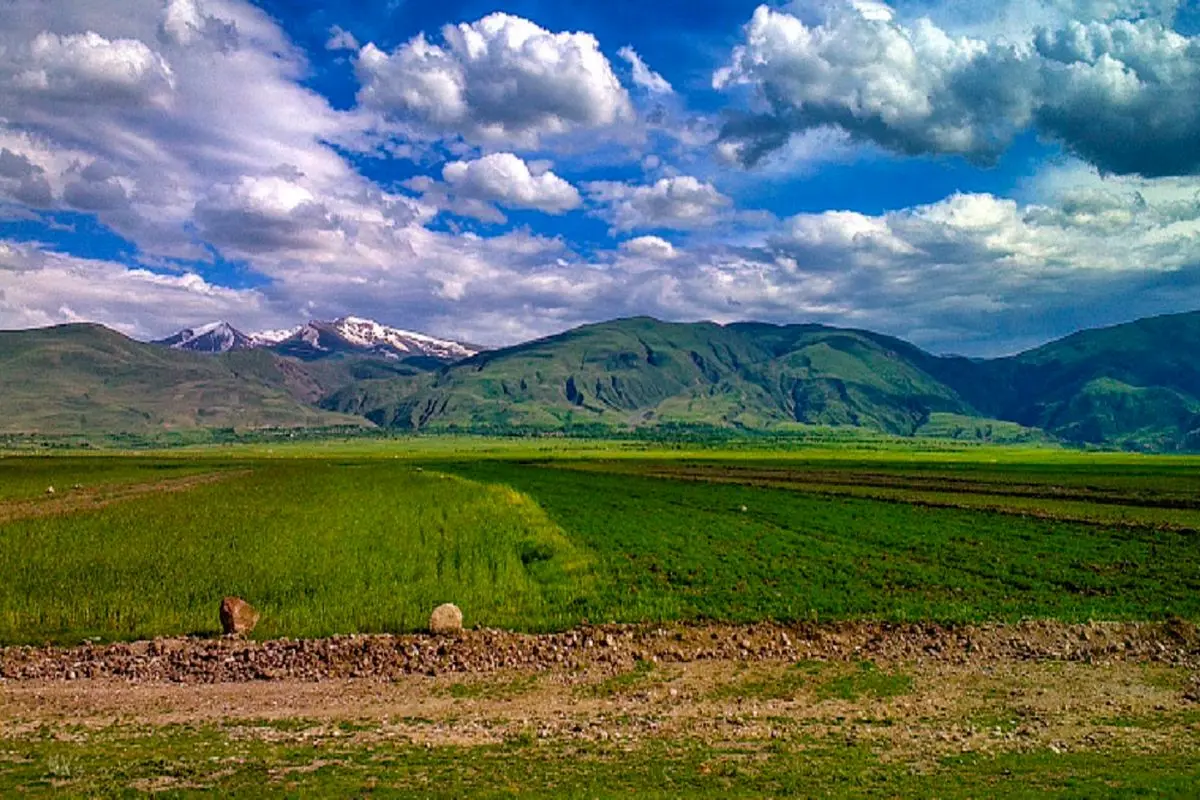 مصرف بالای آب تهدیدی جدی برای دشت قزوین است