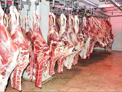 سرانه مصرف گوشت قرمز دو برابر مقدار اعلامی مرکز آمار است