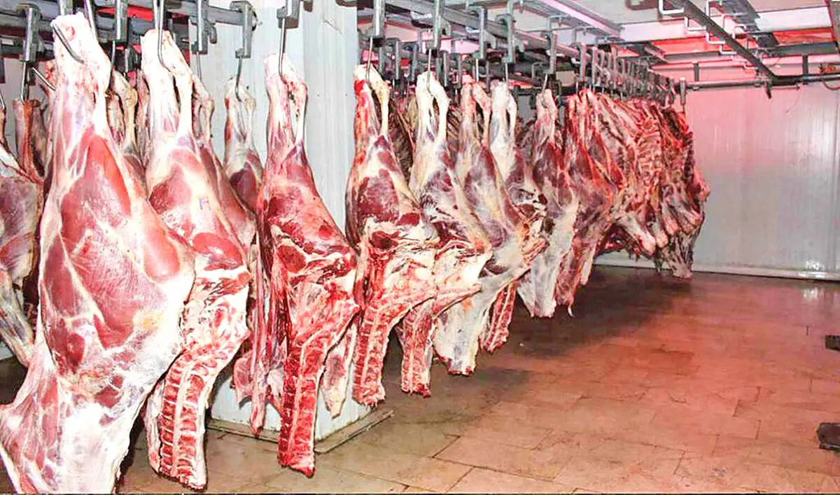 سرانه مصرف گوشت قرمز دو برابر مقدار اعلامی مرکز آمار است