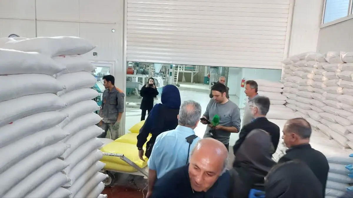 لزوم تفکیک کیفی گندم‌ها در مبدأ خرید
