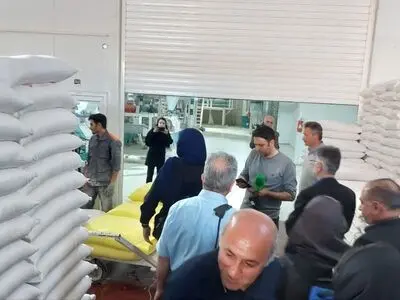 لزوم تفکیک کیفی گندم‌ها در مبدأ خرید