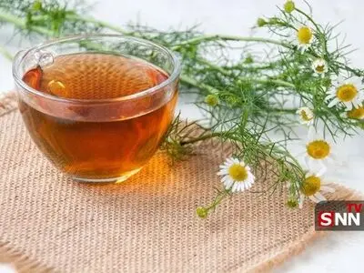 ۶ دمنوش گیاهی مؤثر برای کاهش فشار خون و تقویت سلامت قلب
