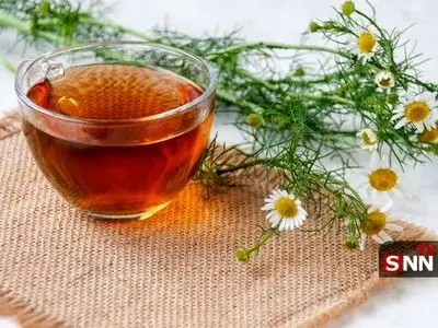 ۶ دمنوش گیاهی مؤثر برای کاهش فشار خون و تقویت سلامت قلب