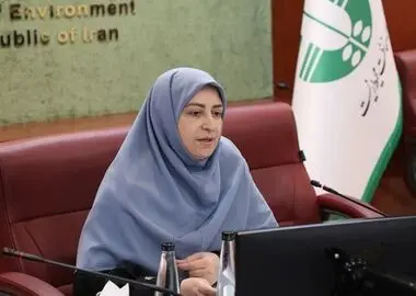 اجرایی نشدن آیین‌نامه کاهش مصرف کیسه‌های پلاستیکی پس از چهار سال پذیرفتنی نیست