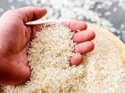 در 3 ثانیه برنج ایرانی را از خارجی تشخیص دهید + فیلم
