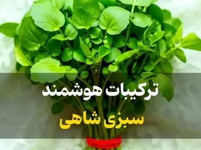 ترکیبات هوشمند سبزی شاهی + فیلم