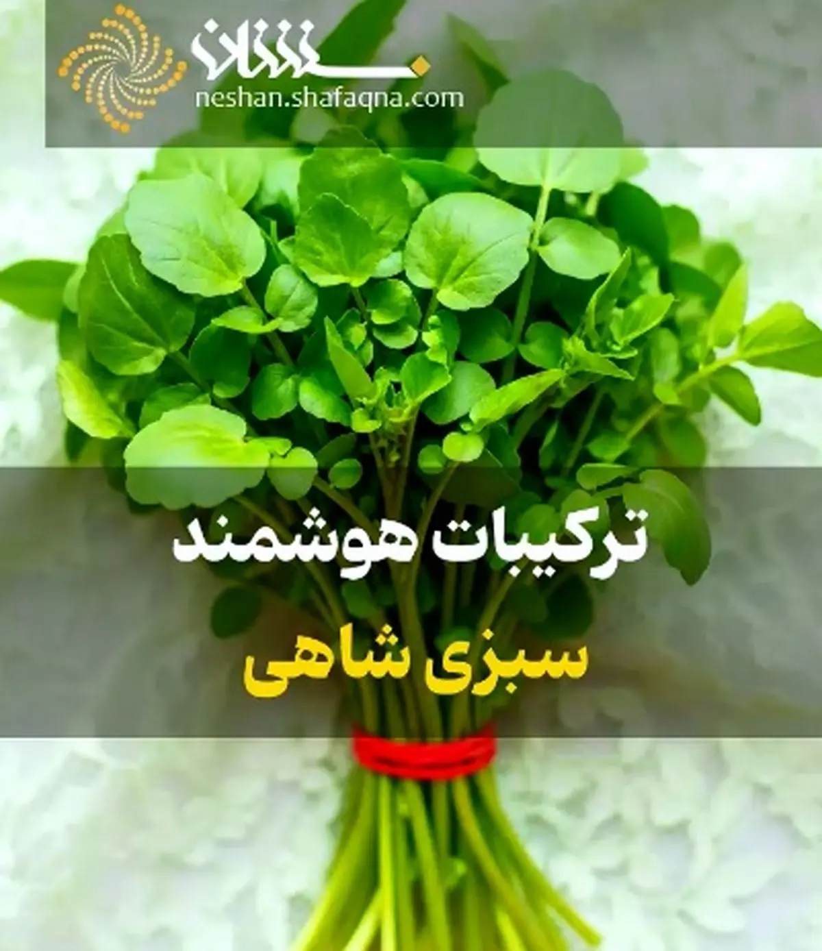 ترکیبات هوشمند سبزی شاهی + فیلم