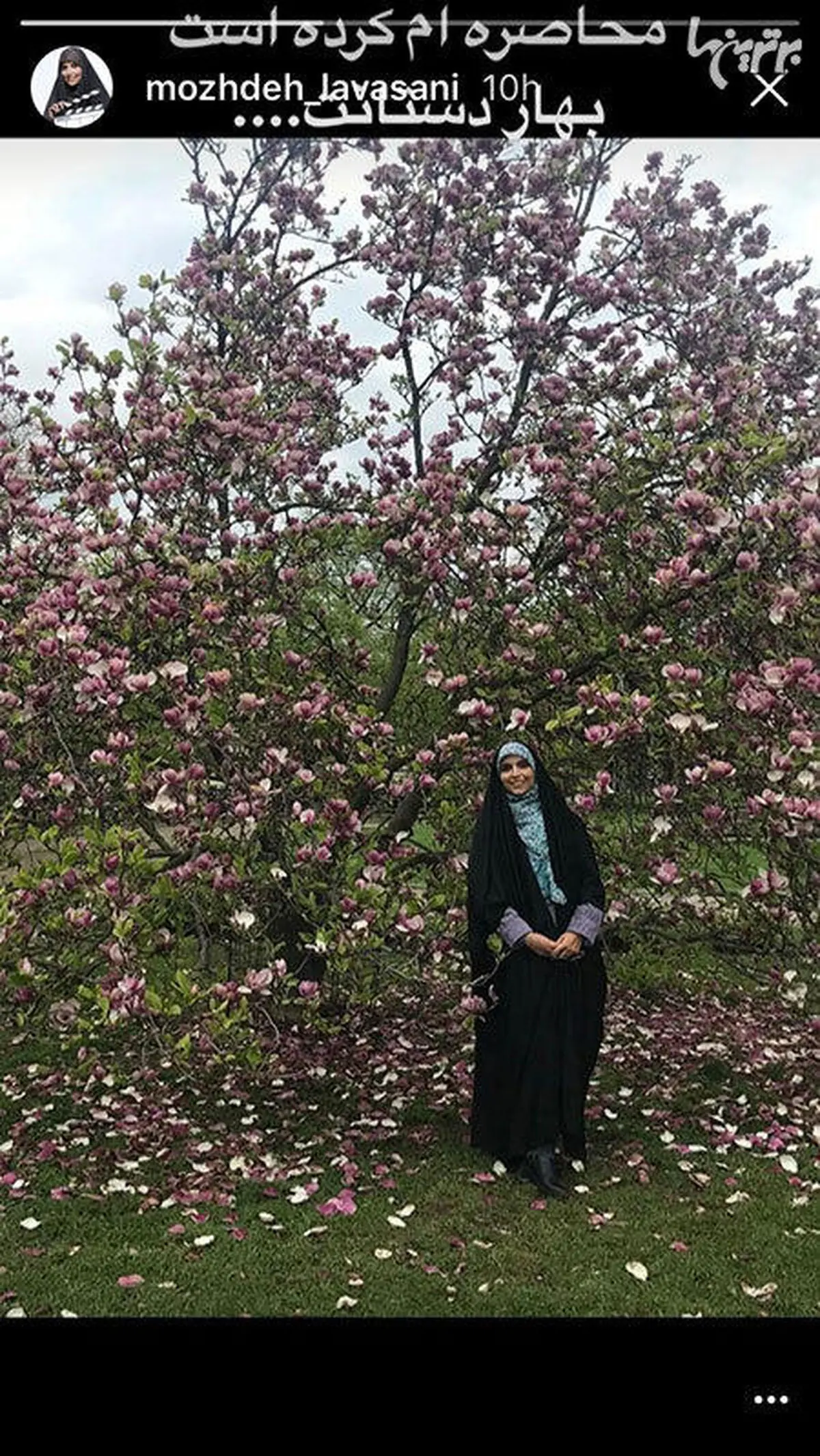 عکس بهاری «مژده لواسانی»