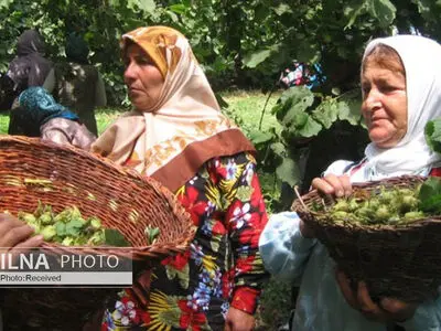 از فندق و بامبو تا تماشای شول‌زدن چوپان‌ها در سفر به خطه سرسبز ایران+تصاویر