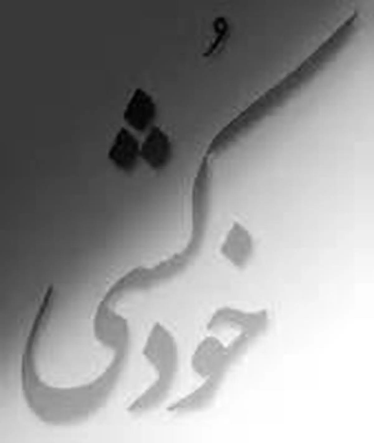 خودکشی یک زن در تنکابن +تصاویر
