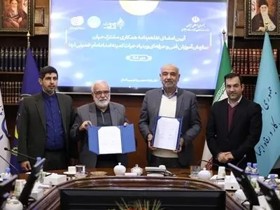 میدری: نیروی کار با مهارت بیکار نمی ماند