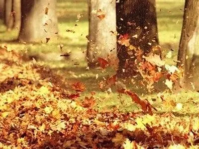 وزش باد گرم و افزایش زیر پوستی دمای هوا در گیلان