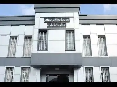 عملیات دستگیری فروشنده قرص‌های لاغری و مکمل‌های دارویی غیرمجاز در تهران + فیلم