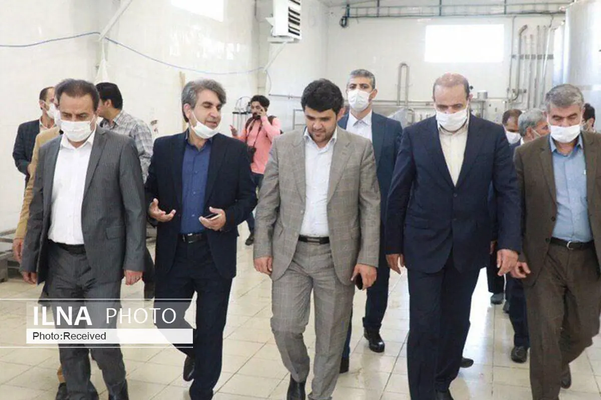 دبیر کارگروه ملی تسهیل از چند واحد تولیدی قزوین بازدید کرد