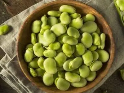 فواید باقلا تازه و خشک برای سلامت بدن و زیبایی پوست