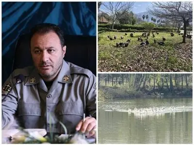 انتقال موقت پرندگان باغ پرندگان لویزان به مازندران برای حفاظت در شرایط جنگی  