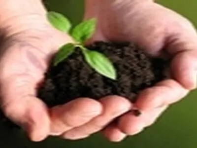 دیدار مدیر کل منابع طبیعی و آبخیزداری استان با مراجعان در۳ ماه سوم سال