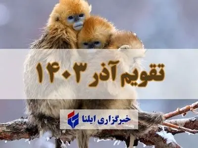 asdasd