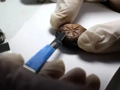 «مهره‌های بازی» متعلق به ۱۵۰۰ سال پیش + عکس