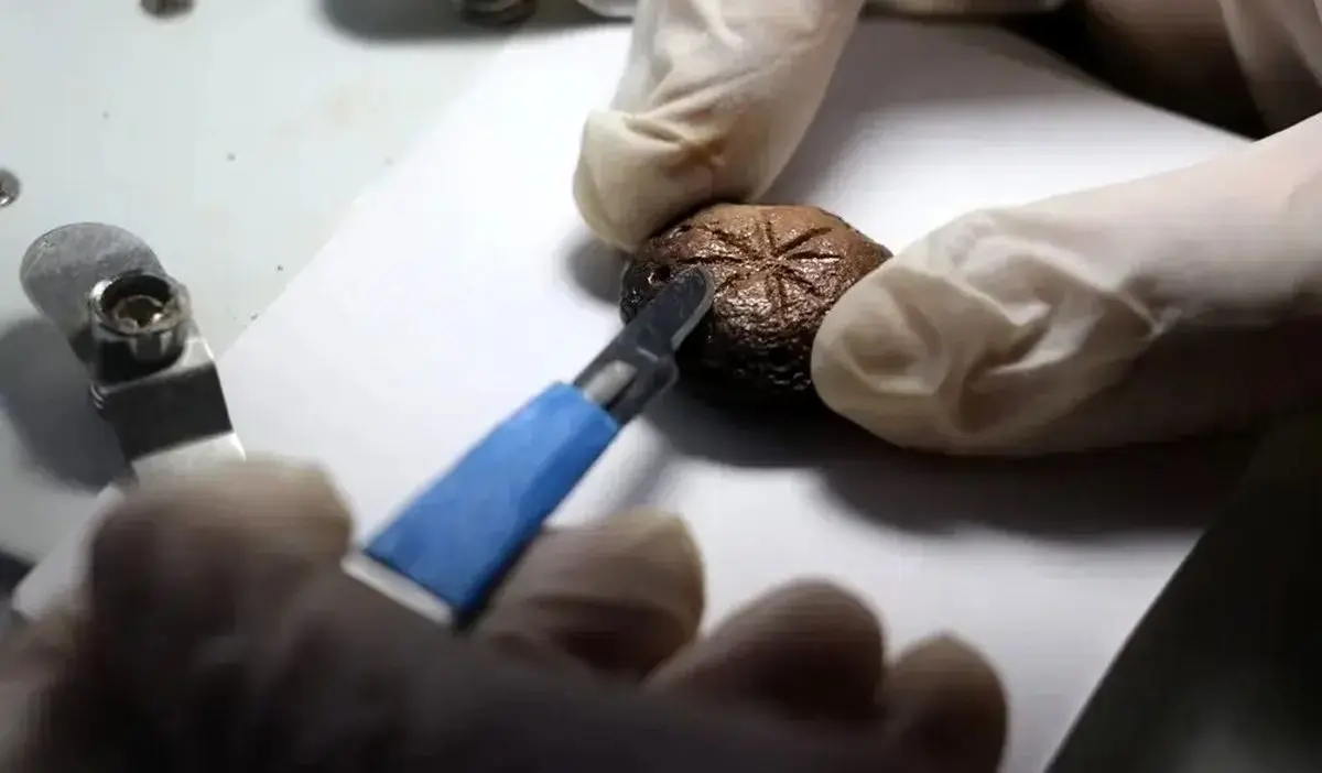 «مهره‌های بازی» متعلق به ۱۵۰۰ سال پیش + عکس