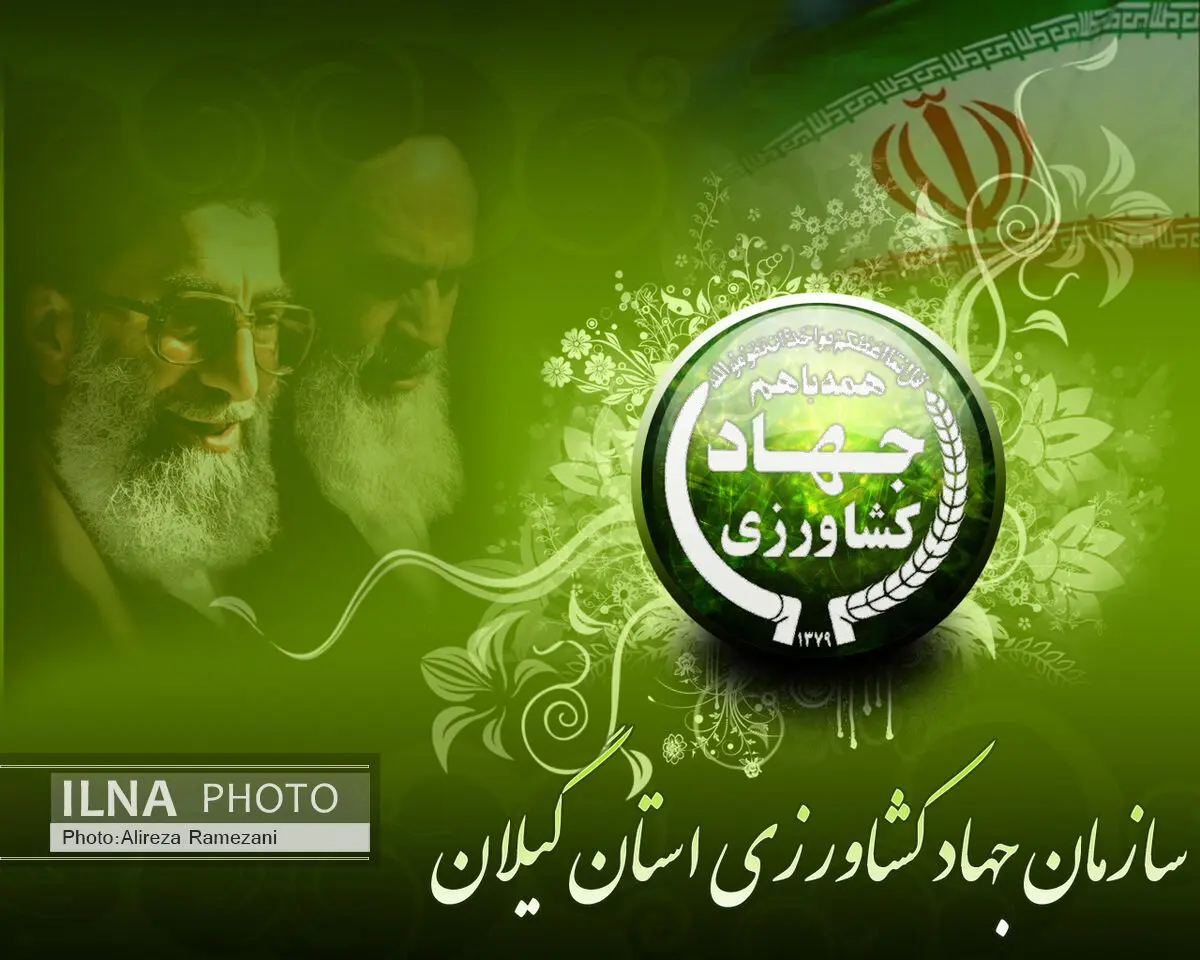 تولید سالانه یک‌ میلیون و 100 هزار تن شلتوک در گیلان