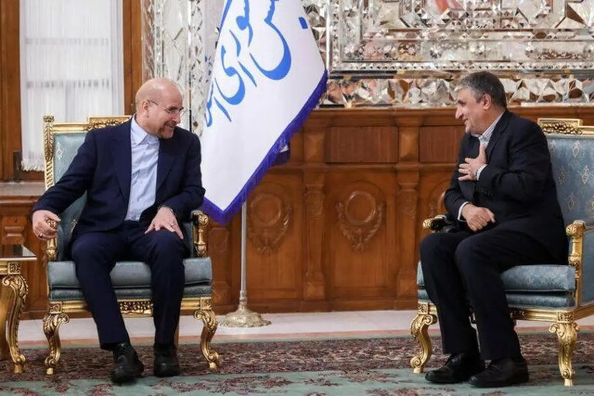 دیدار نوروزی رئیس مجلس و رئیس سازمان انرژی اتمی