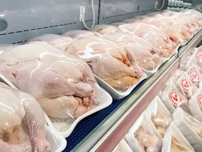 لبه تیز گرانی در قطب تولید مرغ / افزایش بی‌ضابطه قیمت در استان منطقی نیست